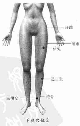 8大穴位养生 中医拔罐治病的方法