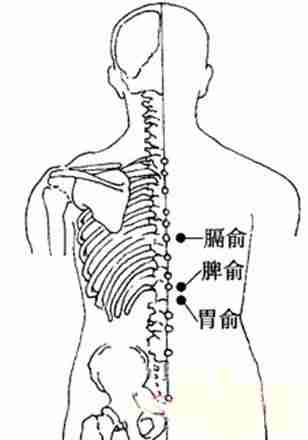 按摩疏经络祛病 常见小病按哪些穴位