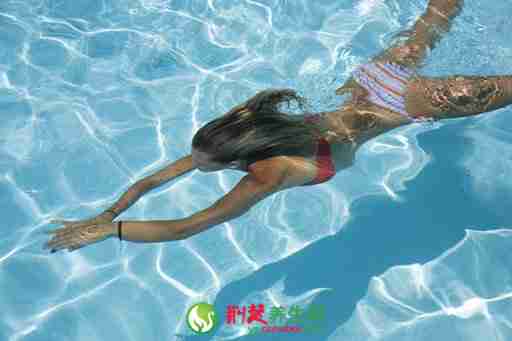 蝶泳的技术要点