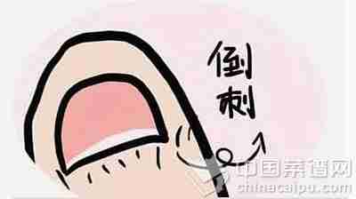 指甲的小秘密