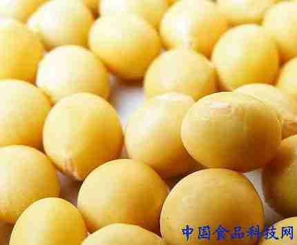 豆浆营养全攻略