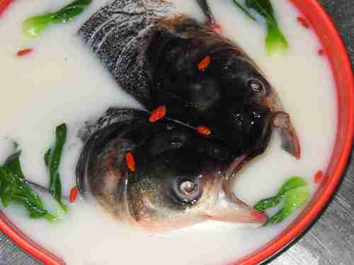 家常菜鱼头豆腐汤   营养丰富味道鲜美