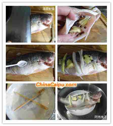 清蒸鲈鱼