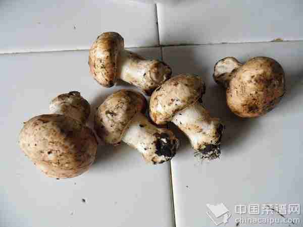 口蘑烧肉